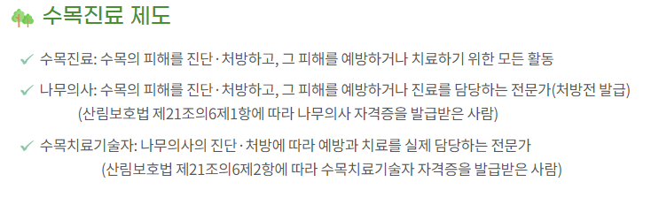 나무의사