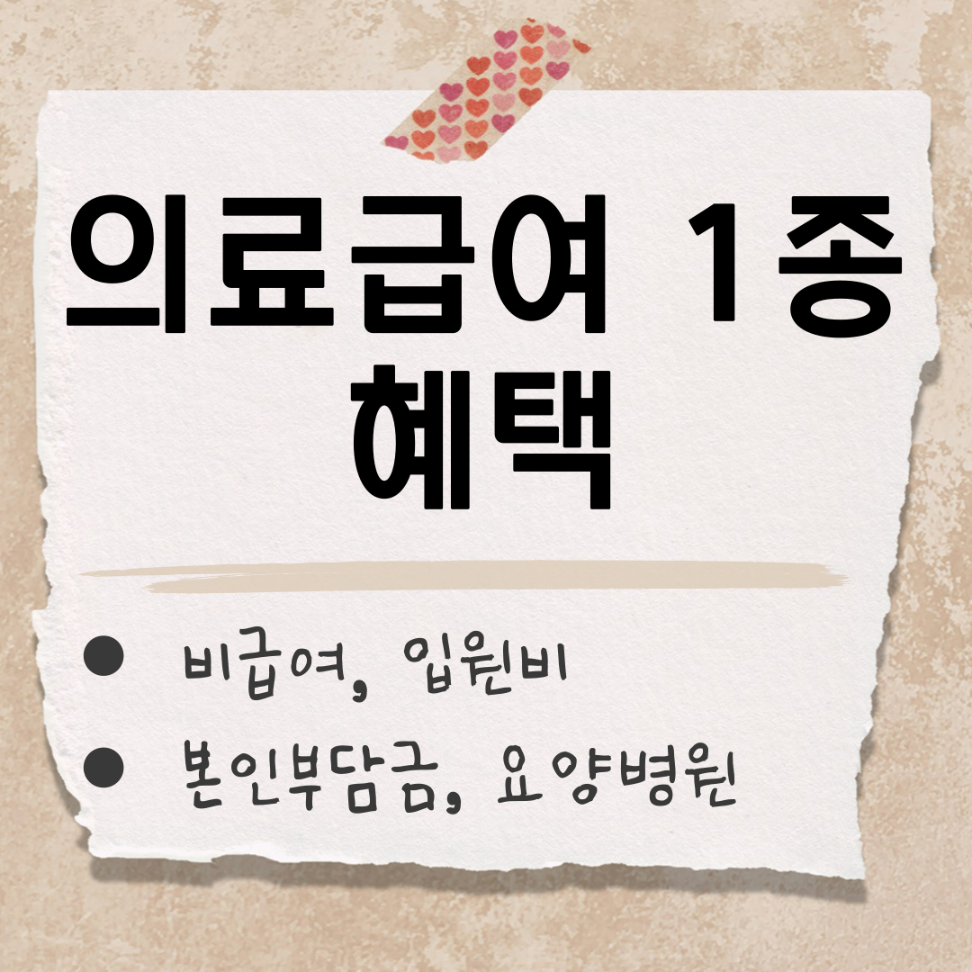의료급여 1종 혜택 썸네일