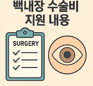 백내장 수술비 지원 내용