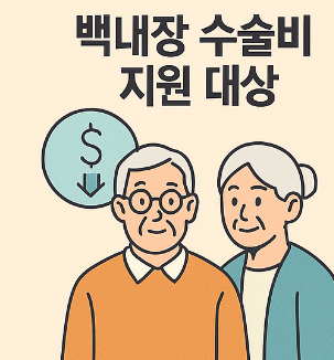 백내장 수술비 지원 대상