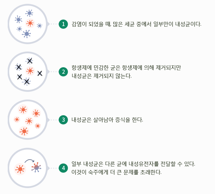 항생제 내성균 2