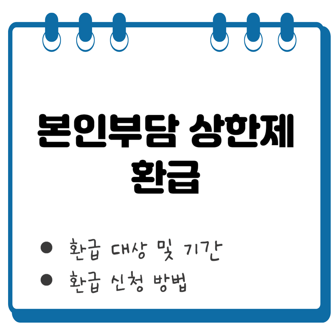본인부담 상한제 환급 썸네일