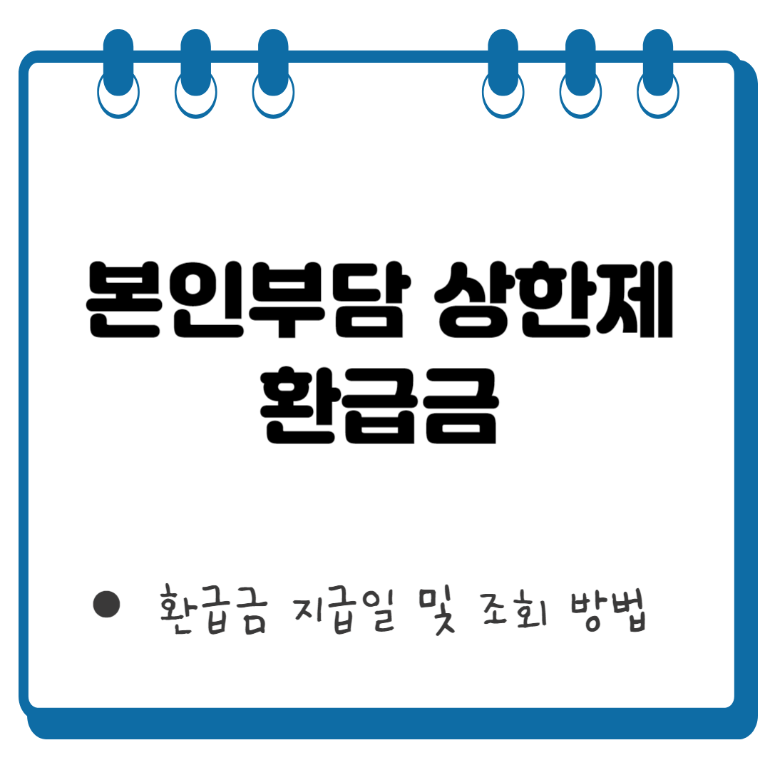 본인부담 상한제 환급금 썸네일