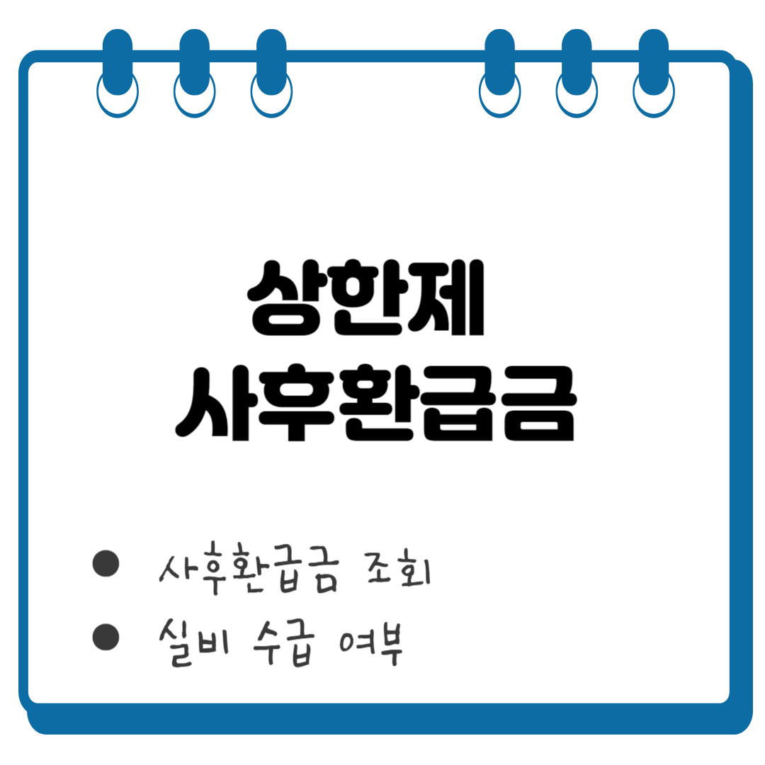 상한제 사후환급금 조회 썸네일