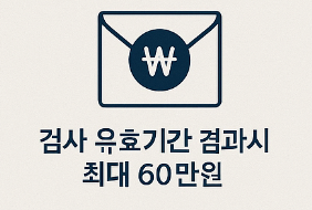 차량 검사 과태료